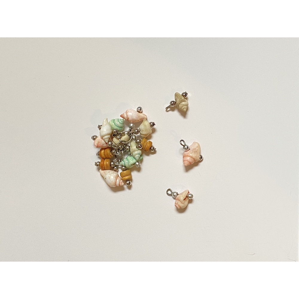 Multicolor Real Seashell Charms for DIY
